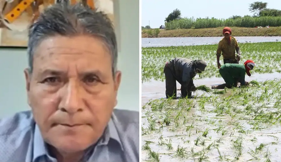 Productores de arroz advierten paro nacional si Gobierno no declara en emergencia el sector en 15 días La situación es crítica