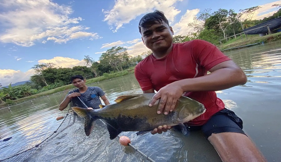 Proyecto de cooperación de US$ 5 millones fortalecerá acuicultura ante cambio climático