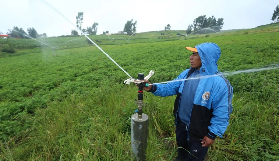 Sector agrario aprueba reglamento de la Ley de Riego Tecnificado
