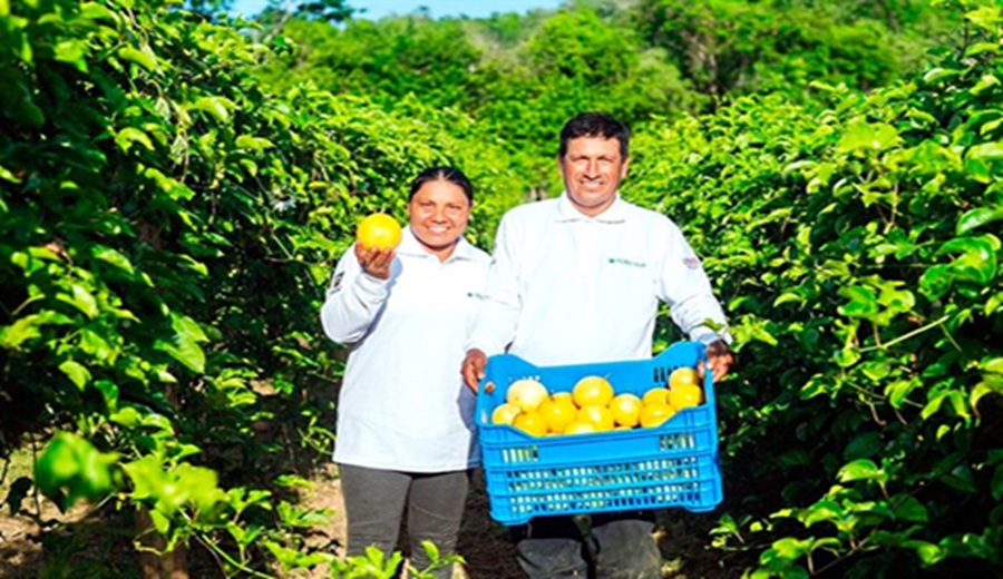 Activan seguro para agricultores