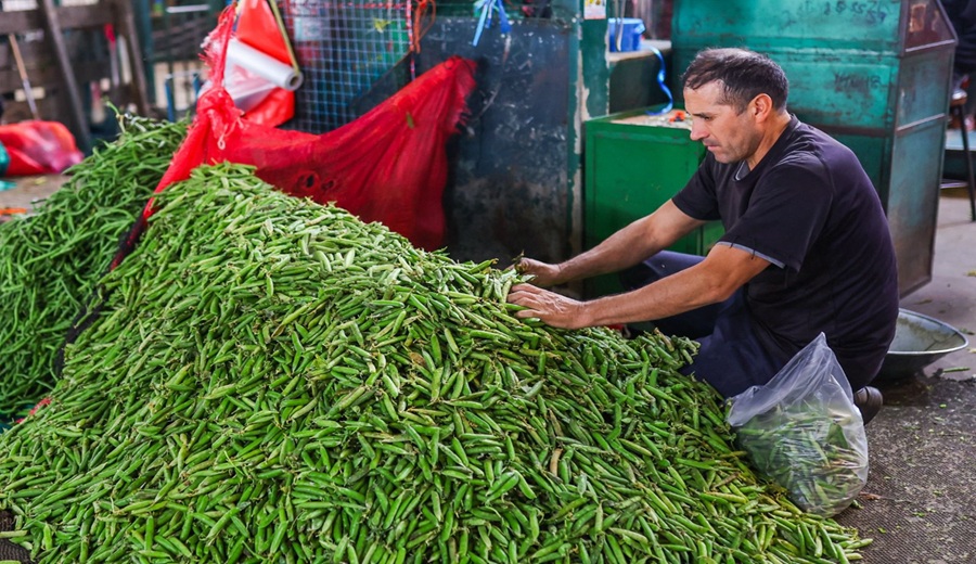 Amplia oferta de alimentos mantiene precios accesibles en mercados mayoristas de Lima