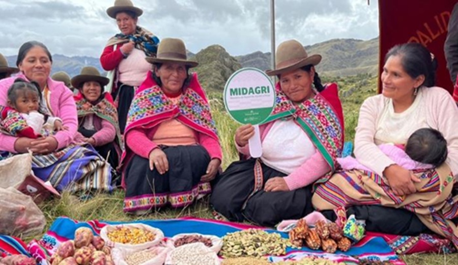 Cusco lidera revolución de la agrobiodiversidad Proyecto Wiñay Muhu impulsará economía de familias rurales