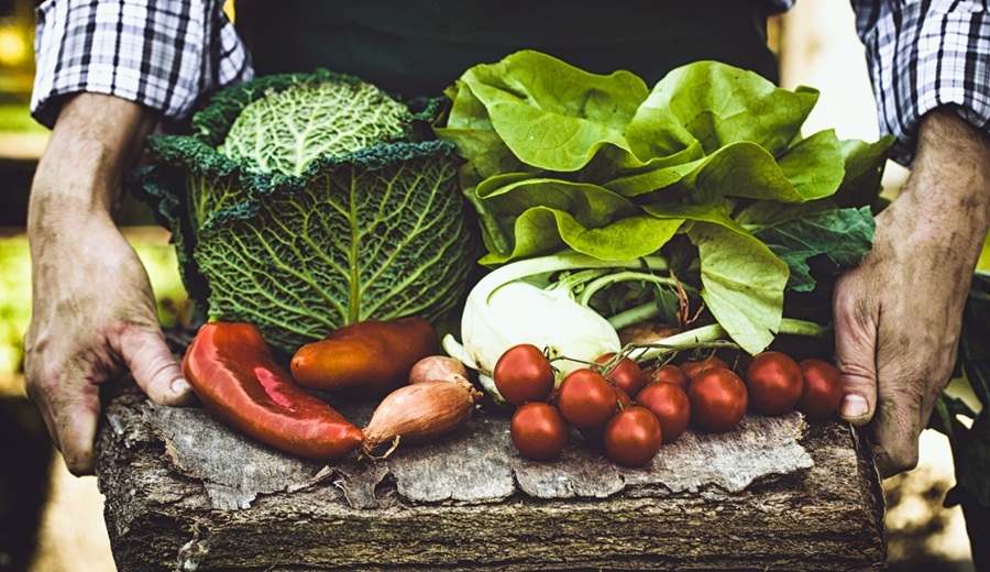 Día Mundial de la Salud 600 millones de personas enferman por alimentos contaminados y el cuidado en campo es la clave para evitarlo