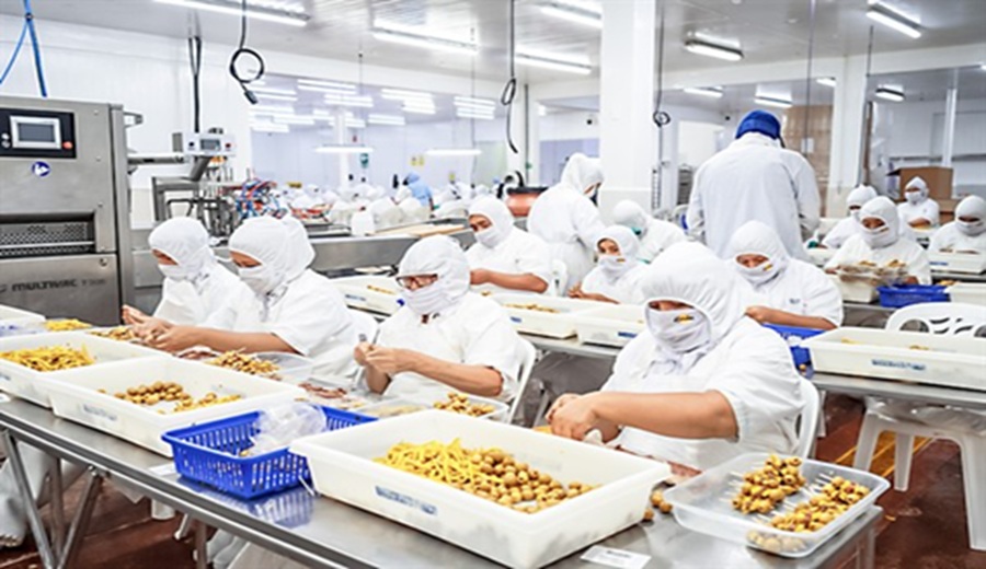 Expectativas siguen en el tramo optimista