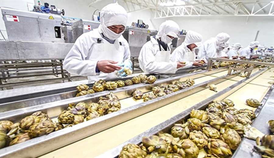 Exportaciones peruanas deben expandirse hacia mercados más globales