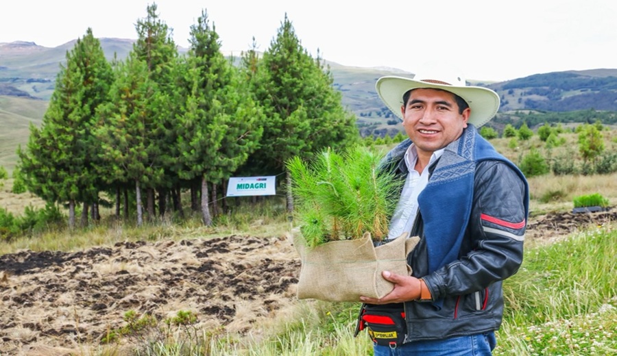 Gobierno lanza la campaña 2026 del Programa Bosques Productivos Sostenibles con la meta de instalar 10 millones de árboles al 2028