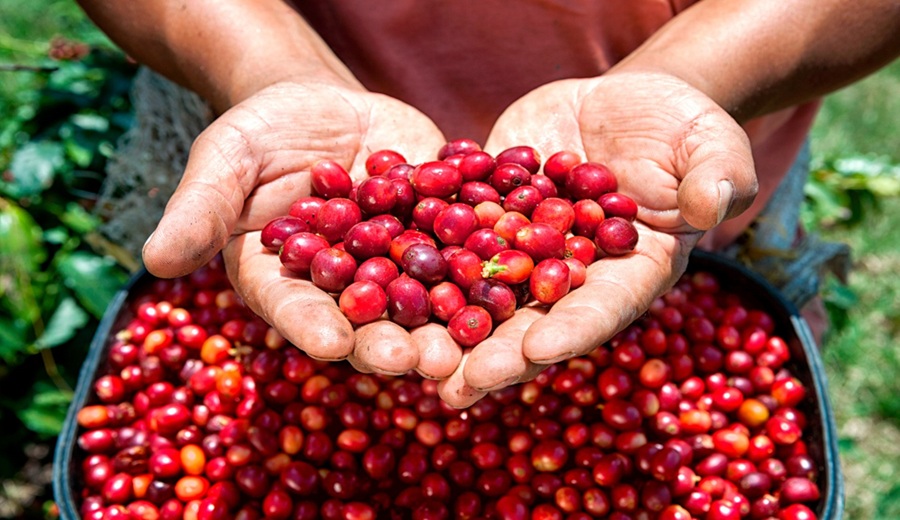 MIDAGRI agroexportaciones superan los US$ 2220 millones en primer bimestre del año