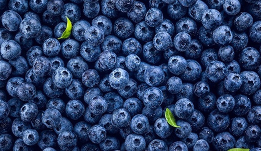 MIDAGRI ector agropecuario creció 2,4% en el primer bimestre enero- febrero 2026