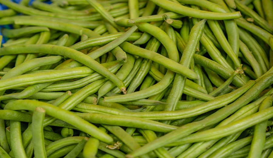 MIDAGRI más de 10 mil toneladas de alimentos se abastecieron en los mercados mayoristas