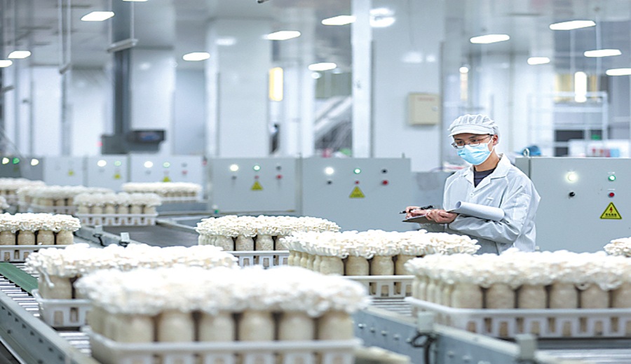 Revolución agrícola 4.0 Hacia una agricultura inteligente