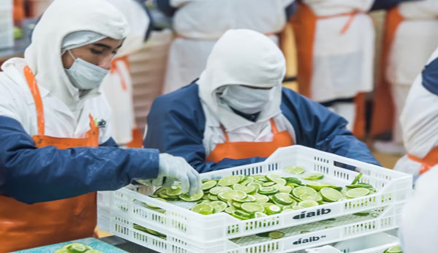 Agroindustrias AIB acumula producción ante menor venta de congelados y reporta pérdidas