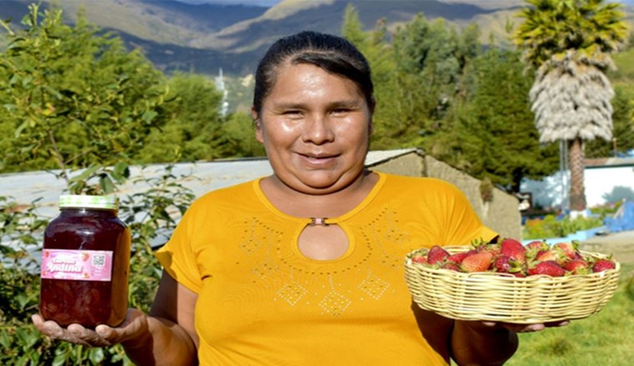 De la maceta a la chacra, la historia de un dulce emprendimiento de fresas