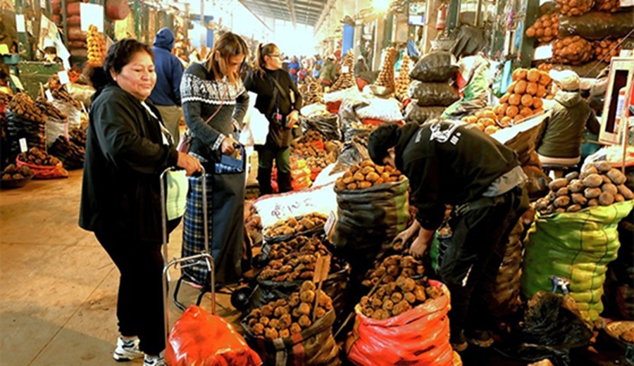 En los mercados mayoristas hubieron ofertas de ajo, camote, haba, vainita, zapallo, papa huayro y otros