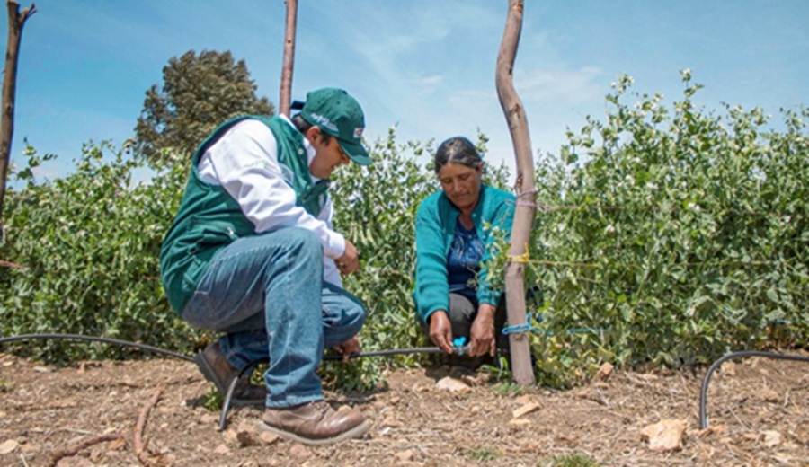 Gobierno a través del MIDAGRI invierte S/ 66 millones en riego tecnificado para potenciar la agricultura familiar