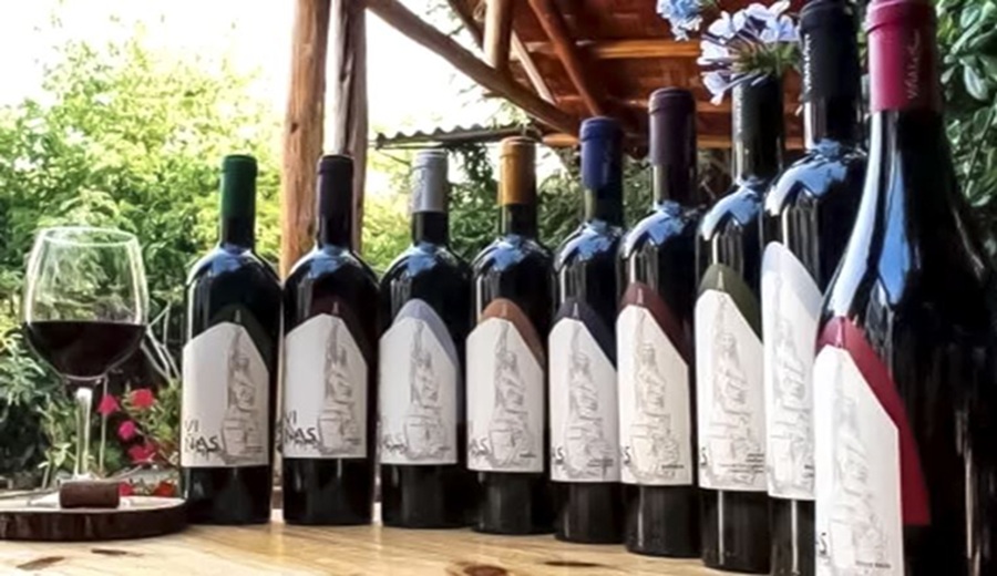 Gobierno declara el 11 de junio como el Día Nacional del Vino Peruano