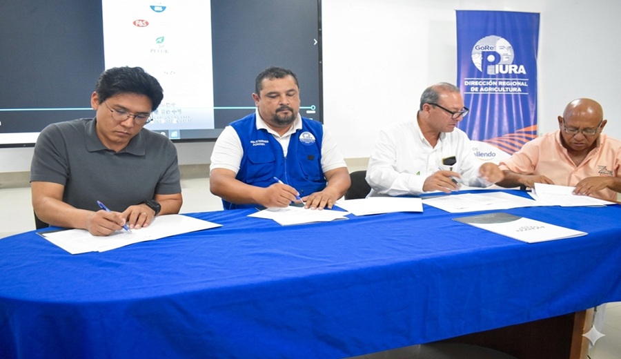 Gore Piura apuesta por el Ajonjolí para abrir nuevos mercados de exportación y generar oportunidades para productores