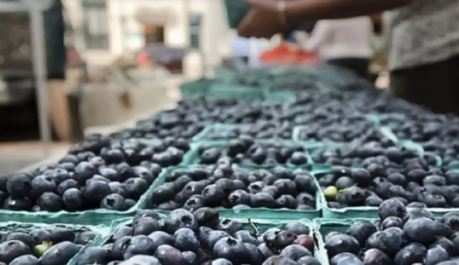 La Libertad exportó 1,602 millones de dólares en primer trimestre del 2026