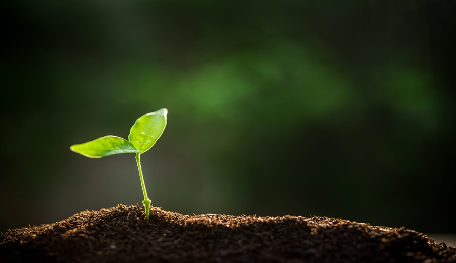 La agricultura ecológica puede ser la solución ante la crisis de los fertilizantes