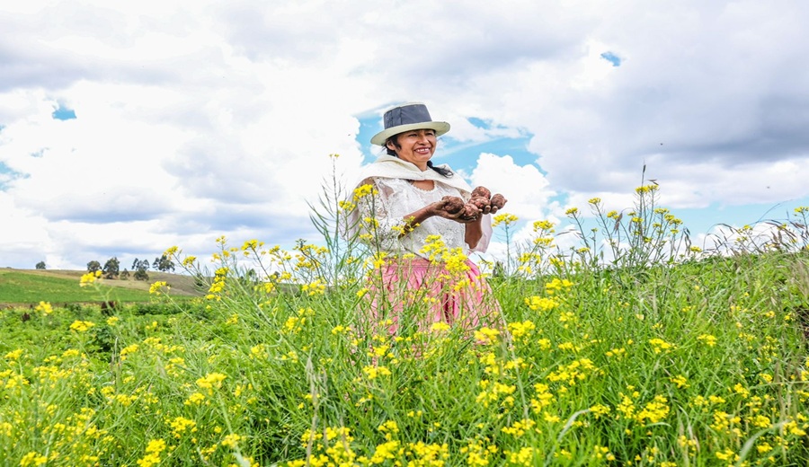 MIDAGRI: Mujeres productoras lideran el desarrollo rural y la seguridad alimentaria del país
