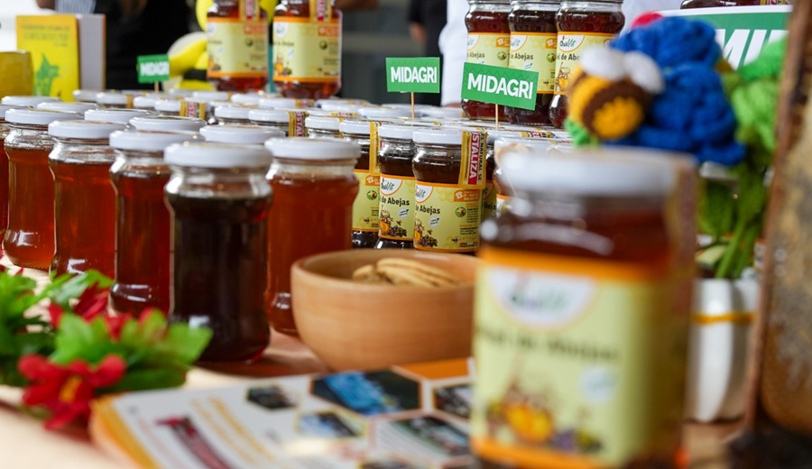 MIDAGRI impulsa el potencial de mas de 40 mil productores en el Día Nacional de la Apicultura