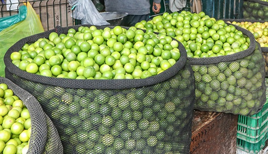 Más de 11 mil toneladas de alimentos ingresaron a mercados mayoristas de Lima y se mantienen precios accesibles de verduras y frutas