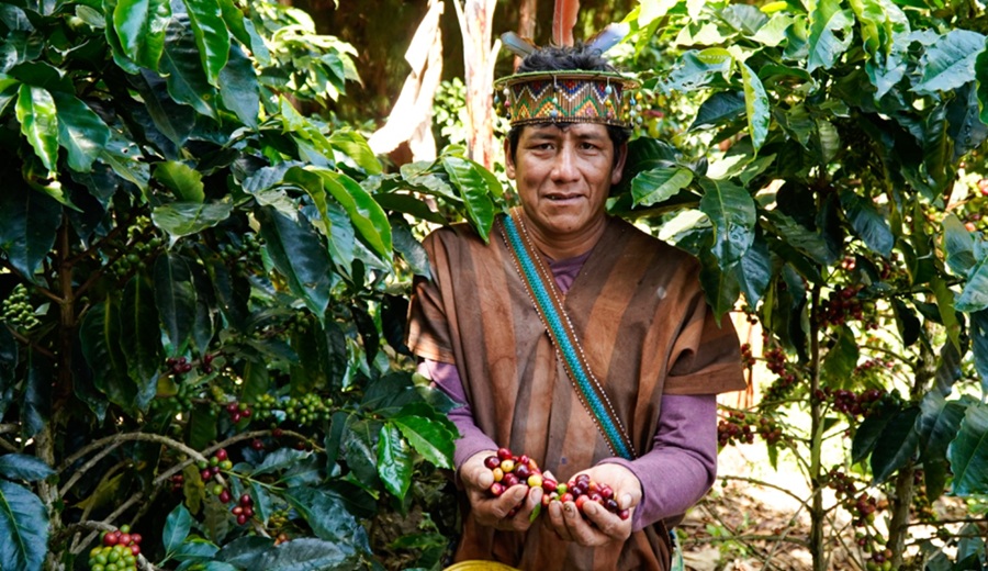 Más de 14 mil agricultores impulsan sus cultivos con S/ 226 millones en créditos del MIDAGRI