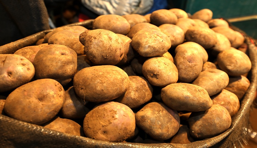 Mercados mayoristas de Lima registran mayor ingreso de papa, limón, camote, choclo y otros cultivos