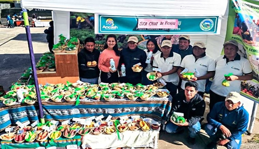 Patrimonio agrícola reconocen a Santa Cruz de Pichiu como guardián de la papa nativa