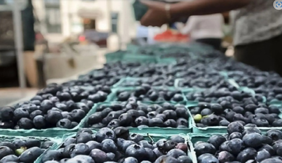 Perú y Chile casi igualados en exportaciones agrícolas al mundo