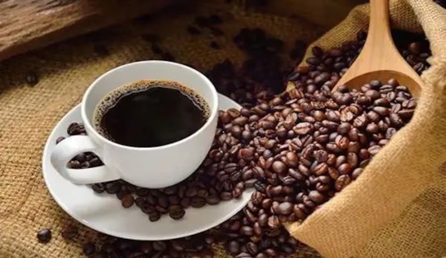 Romex o Perhusa: ¿quién domina la exportación de café peruano en el primer trimestre?
