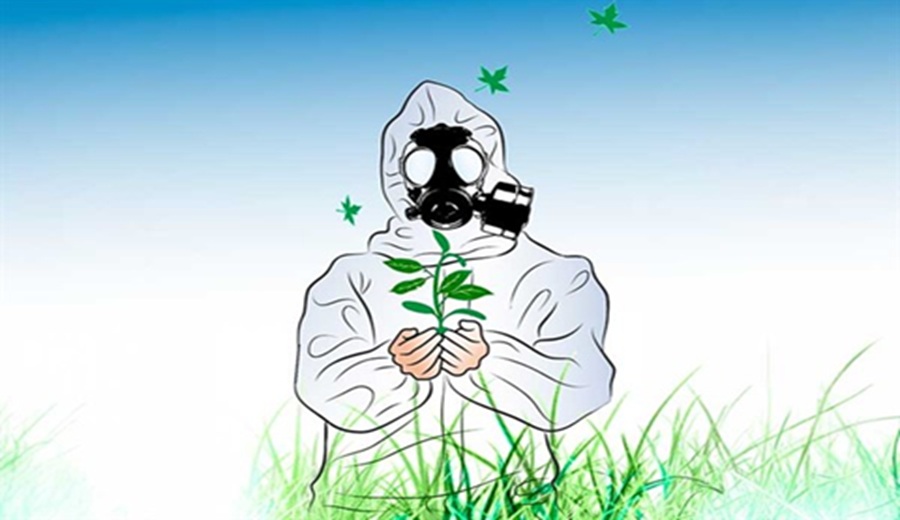 Sanidad vegetal: clave en la seguridad alimentaria