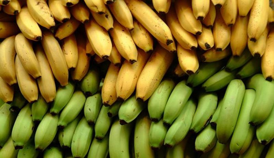 Abastecimiento se mantiene con normalidad en mercados mayoristas y supera las 10 mil toneladas de alimentos
