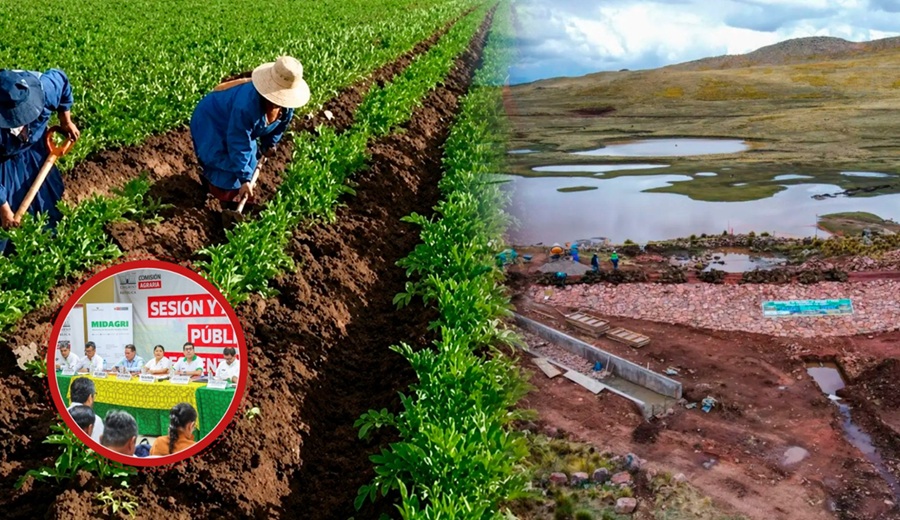 Aprueban iniciativas para fortalecer el desarrollo agropecuario y la seguridad hídrica