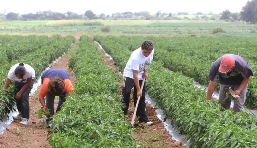 El Niño Costero seguiría hasta 2027 el próximo gobierno enfrentará un nuevo desafío para la economía peruana
