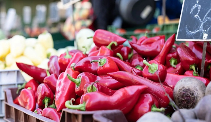 Exportaciones de pimiento piquillo aumentaron 10.5 % en primeros cuatro meses del año