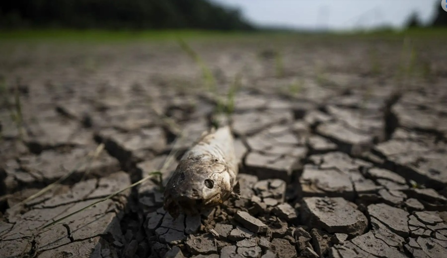 Fenómeno El Niño en Perú Qué zona sufriría déficit de lluvias y con qué consecuencias