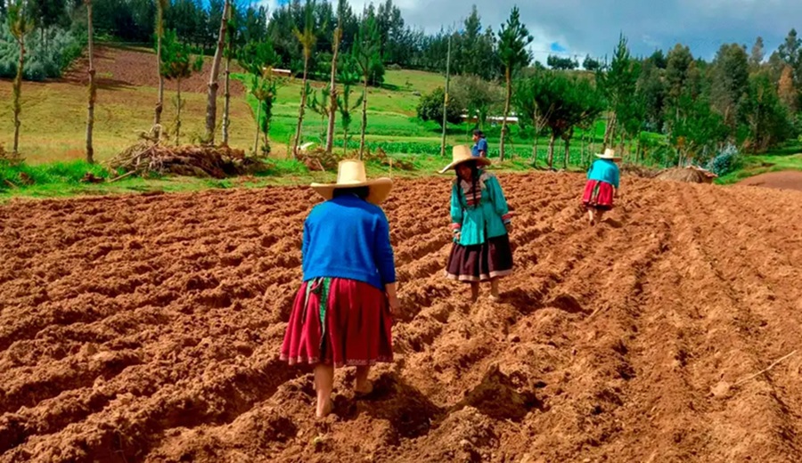 Gobierno aprueba endeudamiento externo por US$26 millones con el FIDA para financiar el proyecto Mercagro qué implica