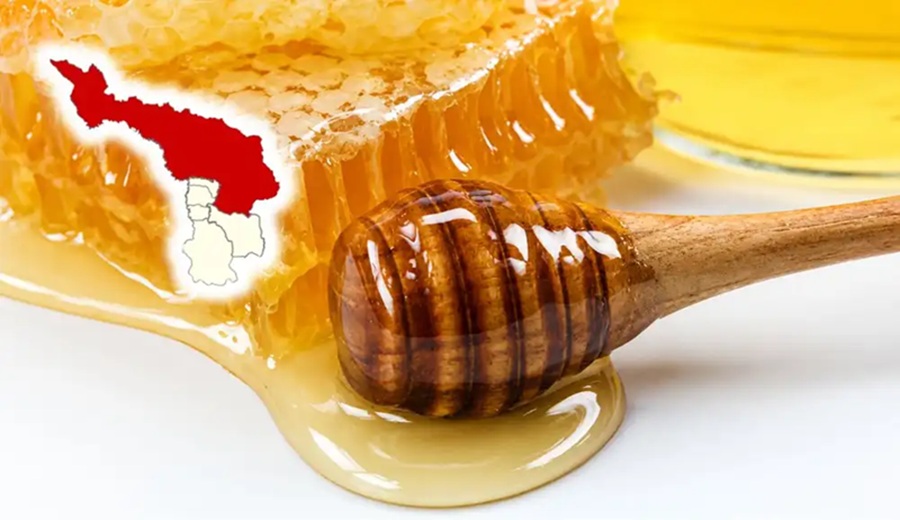 La provincia peruana que decidió proteger a las abejas por una razón que afecta directamente a tu comida