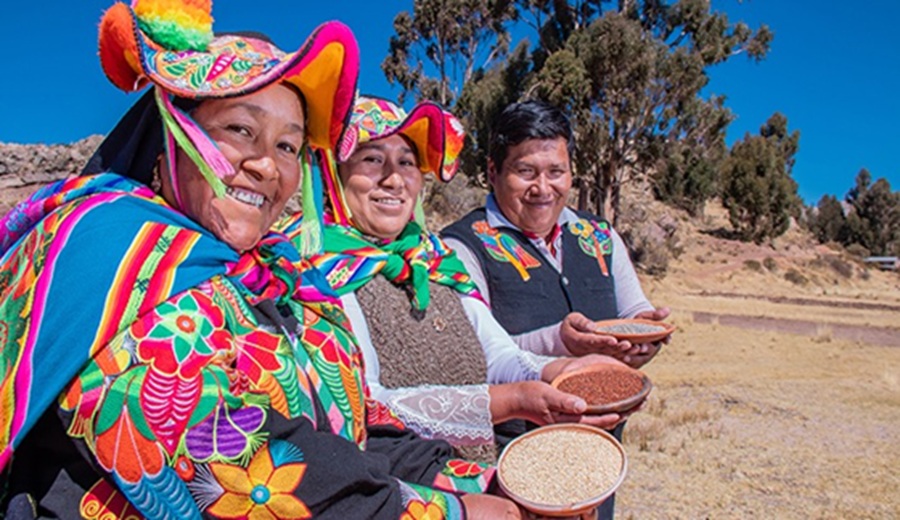 MIDAGRI: «Día Nacional de los Granos Andinos 2026”, el Perú lidera la producción y exportación mundial de quinua