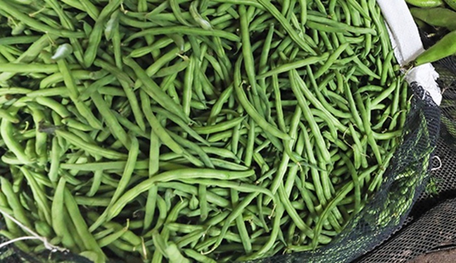 MIDAGRI: destacan ofertas de zanahoria, choclo, camote, uva, naranja y papaya en mercados mayoristas