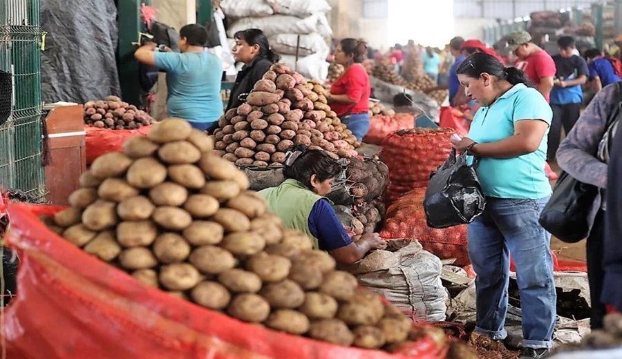 MIDAGRI: frijol, papa, arveja, melón, plátano y uva destacan entre las principales ofertas en mercados mayoristas