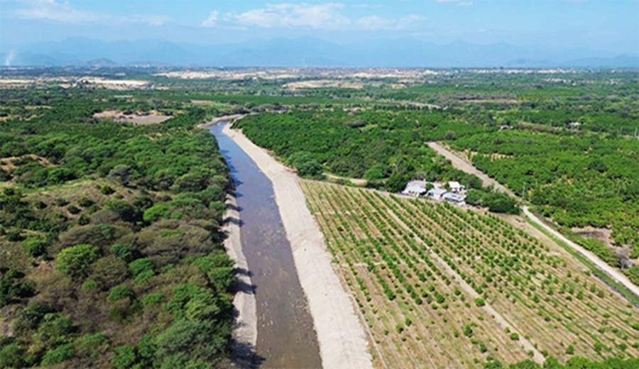 MIDAGRI protege más de 6,600 hectáreas agrícolas ante lluvias e inundaciones en Piura y Tumbes