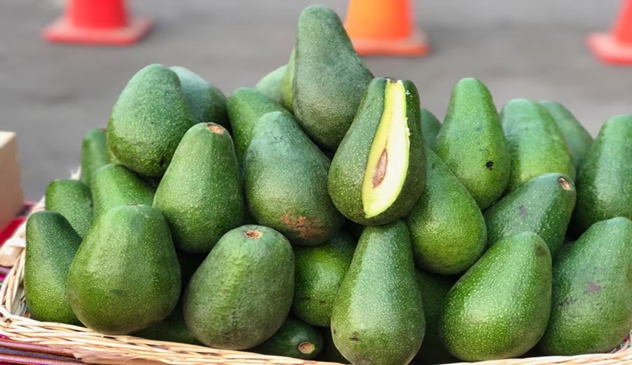 Paltas peruanas podrían ver variación en su precio internacional: ¿empeora o mejora su escenario?