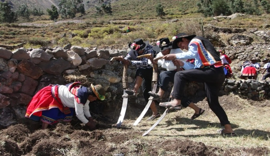 Productores agrarios cuentan con Seguro Agrícola Catastrófico cubre S 1,000 por hectárea