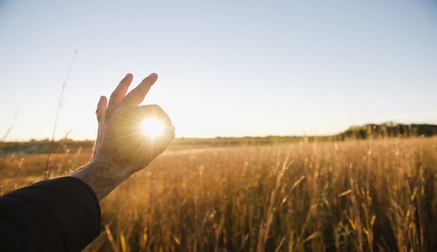 Hand of farmer encircling sun in wheat field at dusk, Plattsburg, Missouri, USA