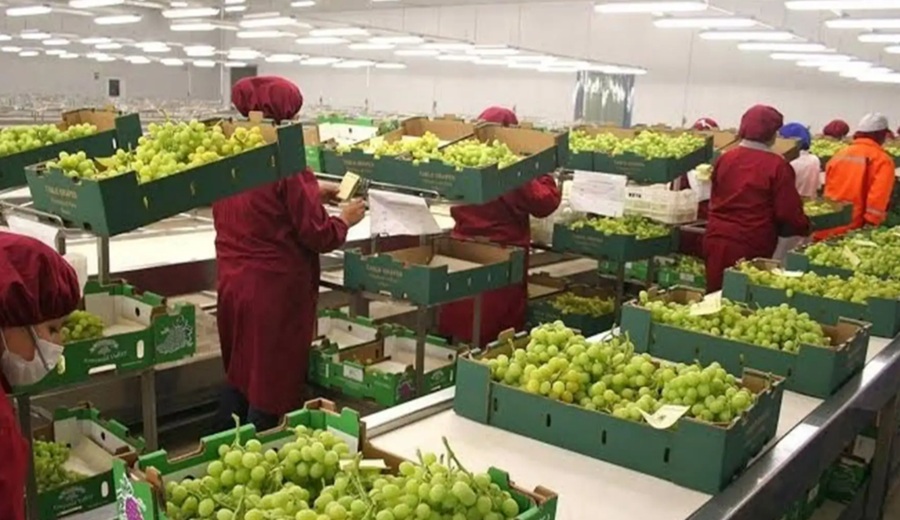Agroexportaciones peruanas acumularon 13 años consecutivos de crecimiento