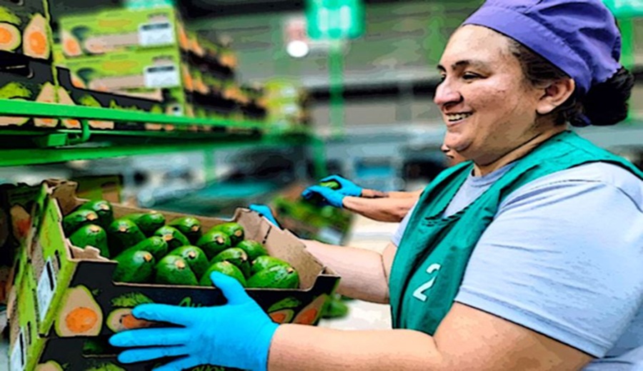 Avance agroexportador