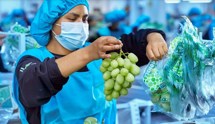 Confiep Perú tiene potencial para superar los US$ 30,000 millones en agroexportaciones