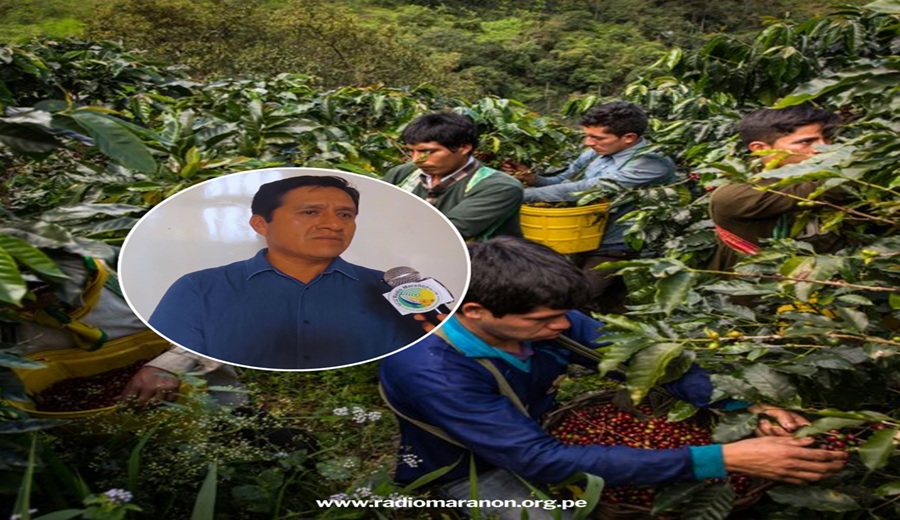 Conveagro pide al próximo Gobierno priorizar la agricultura familiar y apoyar a pequeños productores