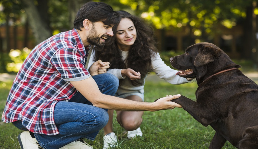 Día Mundial de las Zoonosis prevenir enfermedades que se transmiten entre animales y personas protege la salud pública